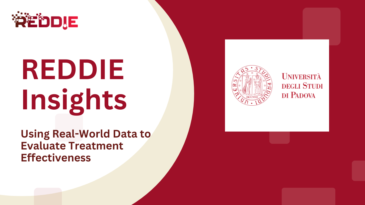 REDDIE%20Insights