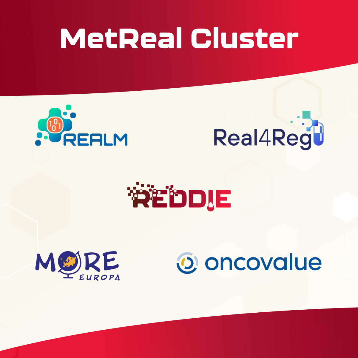 REDDIE_socialmedia_MetReal-Cluster_Reddie